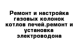 Ремонт и настройка газовых колонок котлов печей.ремонт и установка электроводона